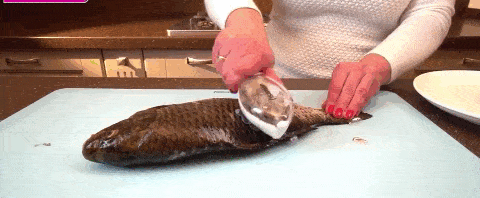 Miniatura 1 de QUITA ESCAMAS